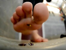 Giantess Feet Smushing