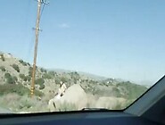 Fucking stranded busty beauty in the nature