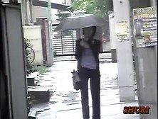 Even when it's raining top sharks are on alert for boobs