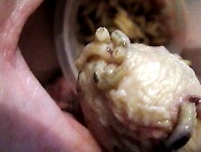 Maggot infested rotting cock head