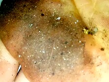 Lucys Dirty Feet Little Bonus)