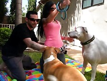 Amateur American pair making a porno movie scene with a professional crew