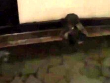 Asian Orgy #2 - Group Sex Action with Japanese Babes