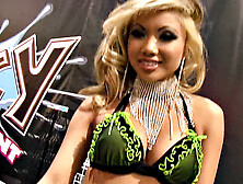 AVN Awards 2008