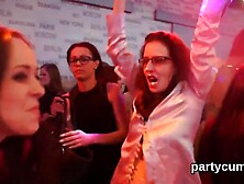 Hot kittens get absolutely crazy and nude at hardcore party