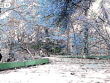 Park Web camera Hikers Public Role Play Manhattan Female