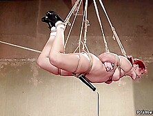 Redhead Sub Hogtied And Suspended