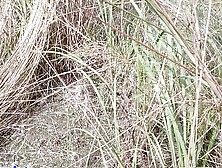 Bhabhi ke chudlam  kaisakhete