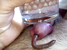 Worm Video 108