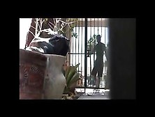 Perv Films Neighbor Bangin' His Girlfriend