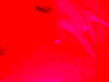 Thinking about u and touching myself.  My moist twat