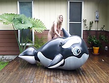 Monroe On A Whale In The Rain