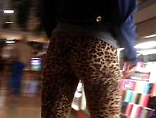 Tiny Teen Perfection Leopard Tights Candid