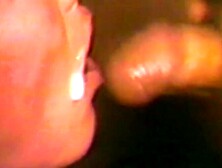 Vintage babe Seka doggystyle fucked after eating warm cum