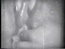 Lady Lovers Site Seer