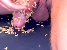 Maggots Swarm Cock