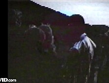 Pamela Anderson and Tommy Lee Sex Tape - FULL Part 1 of 5