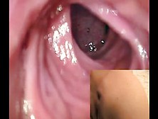 Giantess Anal Vore Pov