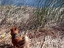 Cum with me on a Concupiscent Undressed Hike // Masturbating on Public Trail - Steph in Space