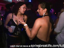 SpringBreakLife Video: Club Girls Up The Skirt