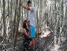 Pornreal Beautiful Girl Sex In The Woods Part1