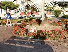 escort whore provides her services for 500 dollars in the park