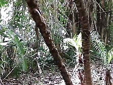 DaughterSwap - Stepdads Teach Their Cute Stepdaughters How To Satisfy Men While Camping In The Woods