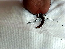 Worm sounding