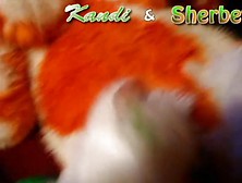 Kandi And Sherbet