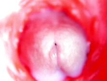 4K Pussy Close-Up: Internal Asmr Orgasm With Sexy Redhead & Big Cock