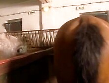 Romantic Sexy In The Stable Part 1 - More Videos On