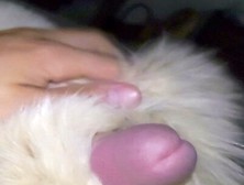 Fur Fetish Massage And Big Cumshot