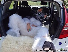 Fluffy, but well stuffed