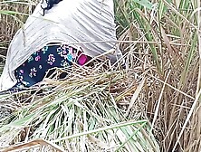 Fucked Country Girl As A Horse In Paddy Field