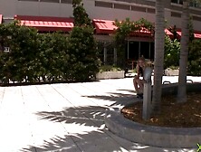 Fucking around in a bang bus