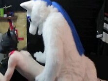Fursuiter sex