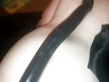 Long Dildo Up Her Ass