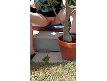 Maintaining my desert rose,  top on panties off