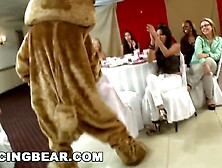 DANCING BEAR - Wild Knob-Sucking Fuckfest For The Bride To Be And Her Lewd Allies