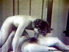 Newly Married Couple Starts Their Honeymoon Inside The Office Couch.