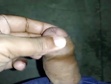 Hot Indian Desi Bhabhi Fucked Pussy