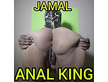 Jamal Have Anal Sex With A Big Booty Bbw Red Bone