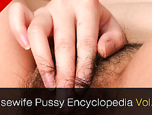 Aisa Tamano & Sanae Uehara & Yukari Sato Japanese Movie