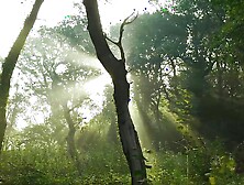 A young girl lit a pussy and