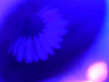 Synthetic Ecstasy - Coming Alive - ∑aria ɑ:live