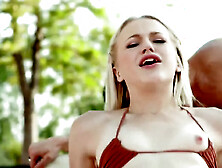 Sage Rabbit In Cuck Em While They Re Young (18+)