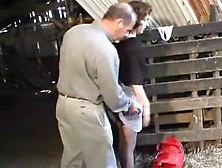 Fit French Aged Does It All !