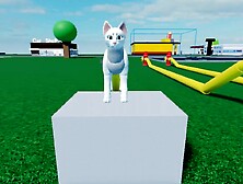 Cat Cum Reservoir Inflation