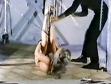 The Trainers (HOM BDSM Bondage Vintage)