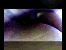 A esta perrita le encanta que la disfrute